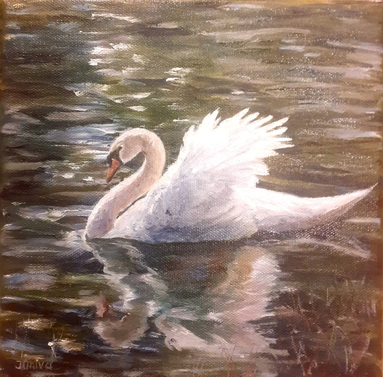 A white swan