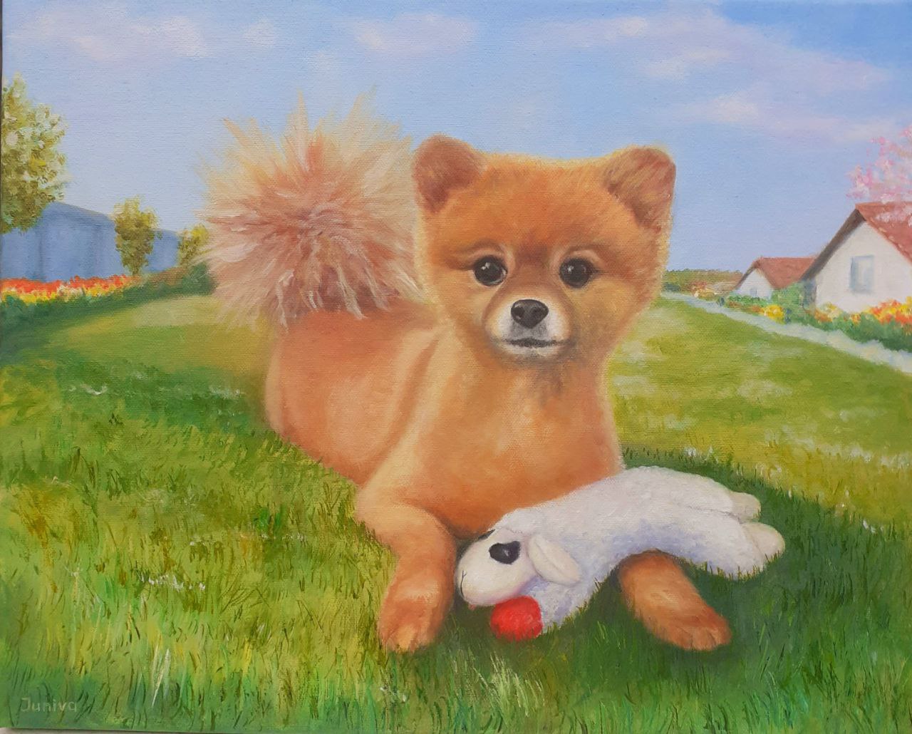 A Pomeranian dog Charlie