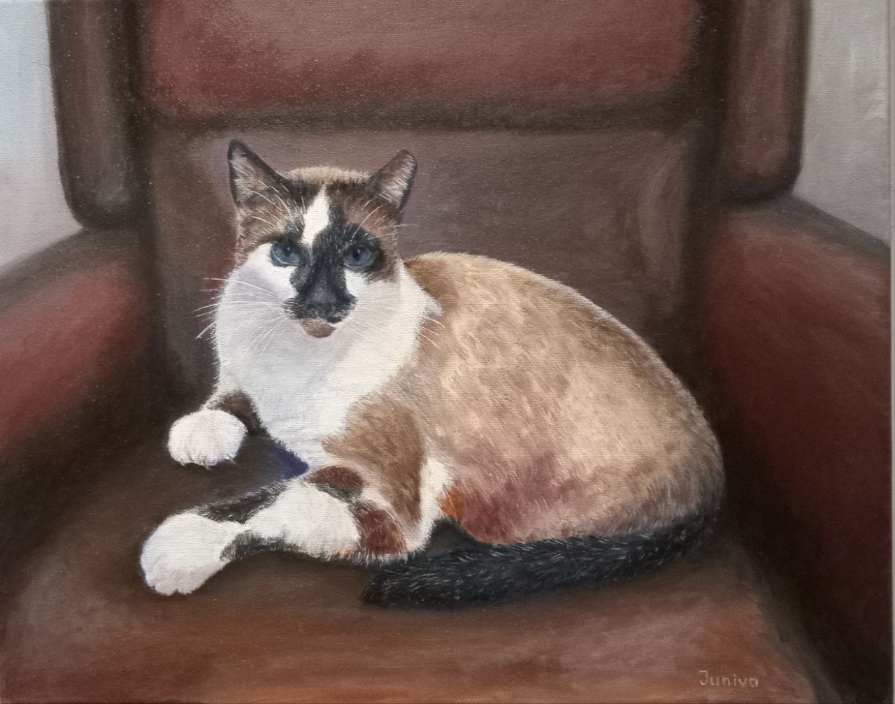 A Beautiful cat Thomas