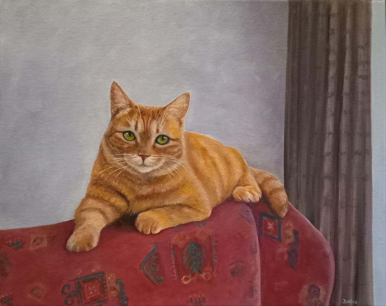 A red cat lying on the armchair