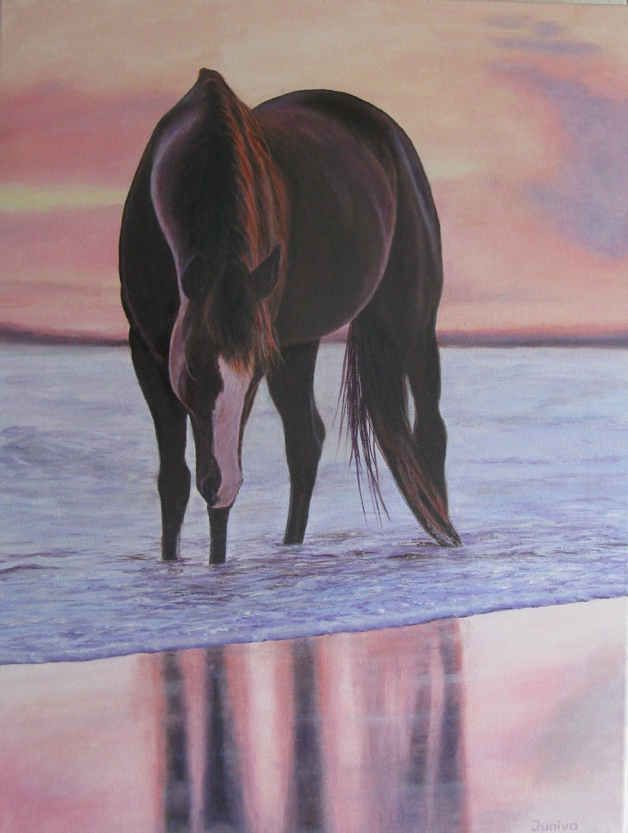 The Horse reflecting in the water