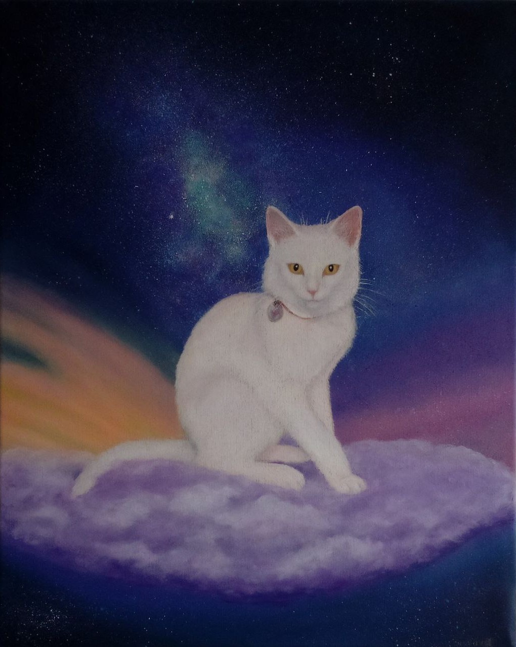 The white cat on the cloud