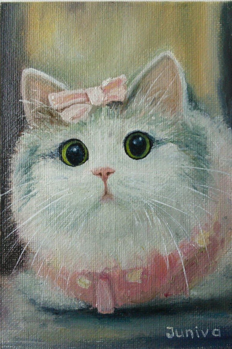 The White kitty with a pink bow-2