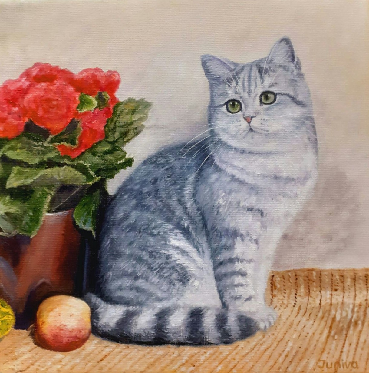 The Grey kitty near the flowers and an apple