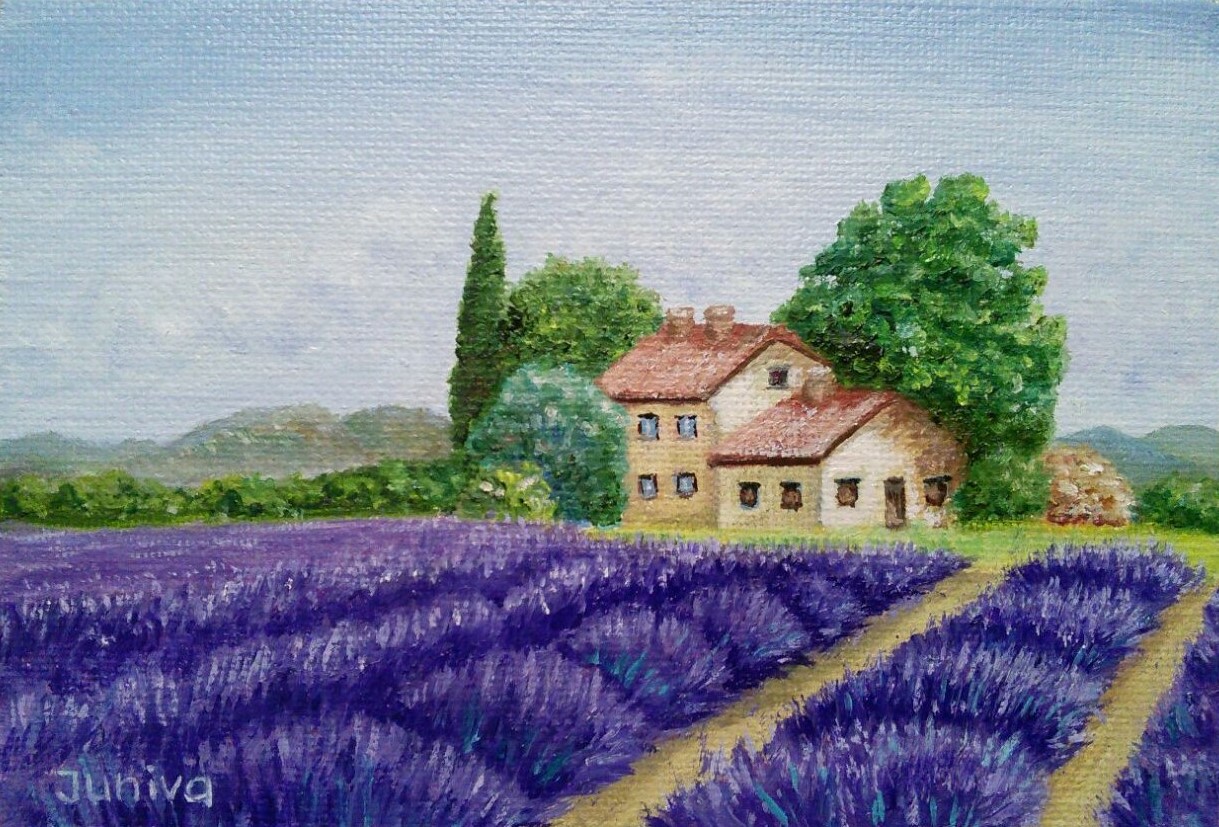 Lavender field and a country house