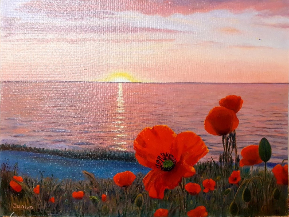 Poppies at sunset near the sea