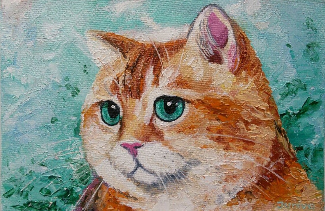 The Turquoise-eyed cat on the turquoise background